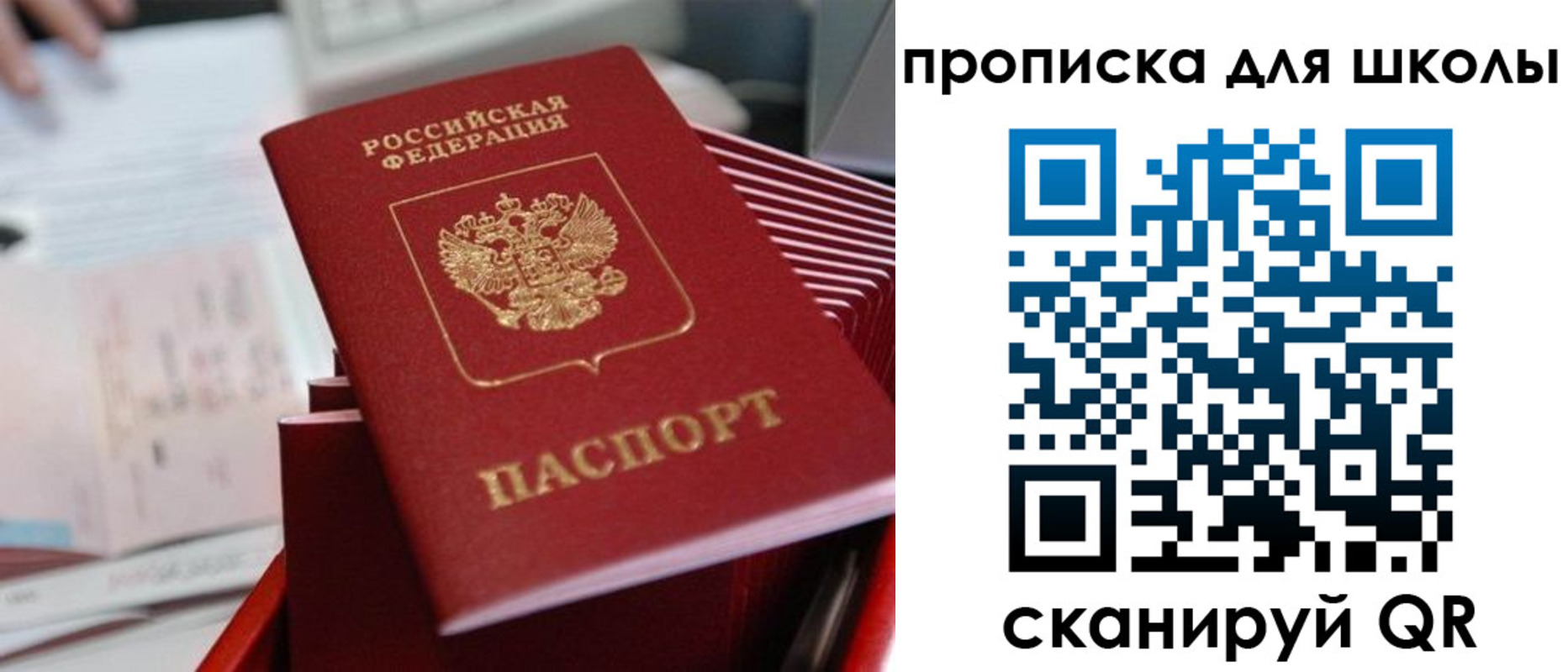 прописка для школы в Благодарном